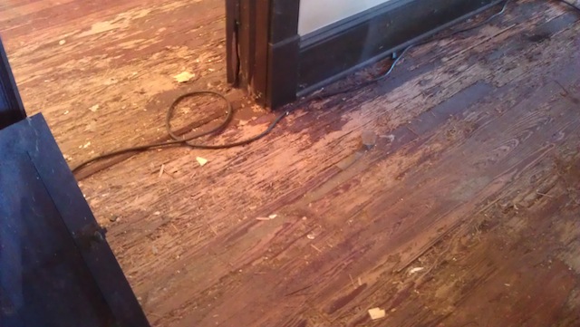 Termite damage on the floor